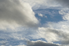DSC01354_1