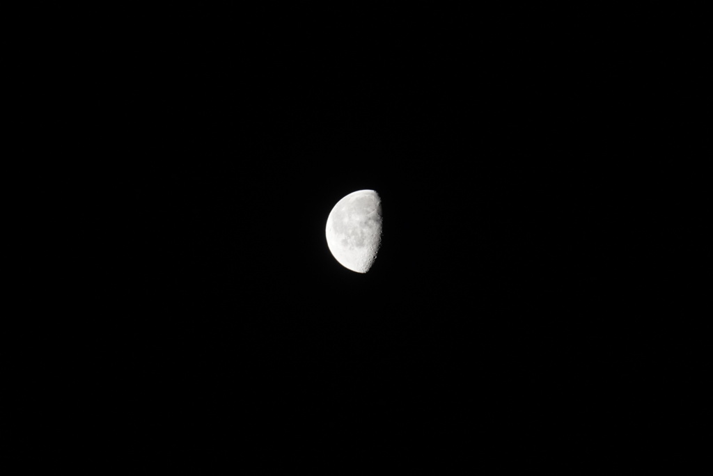 DSC03248