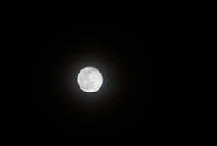 DSC06688