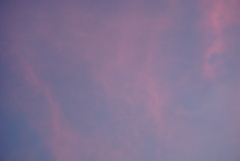 DSC09595