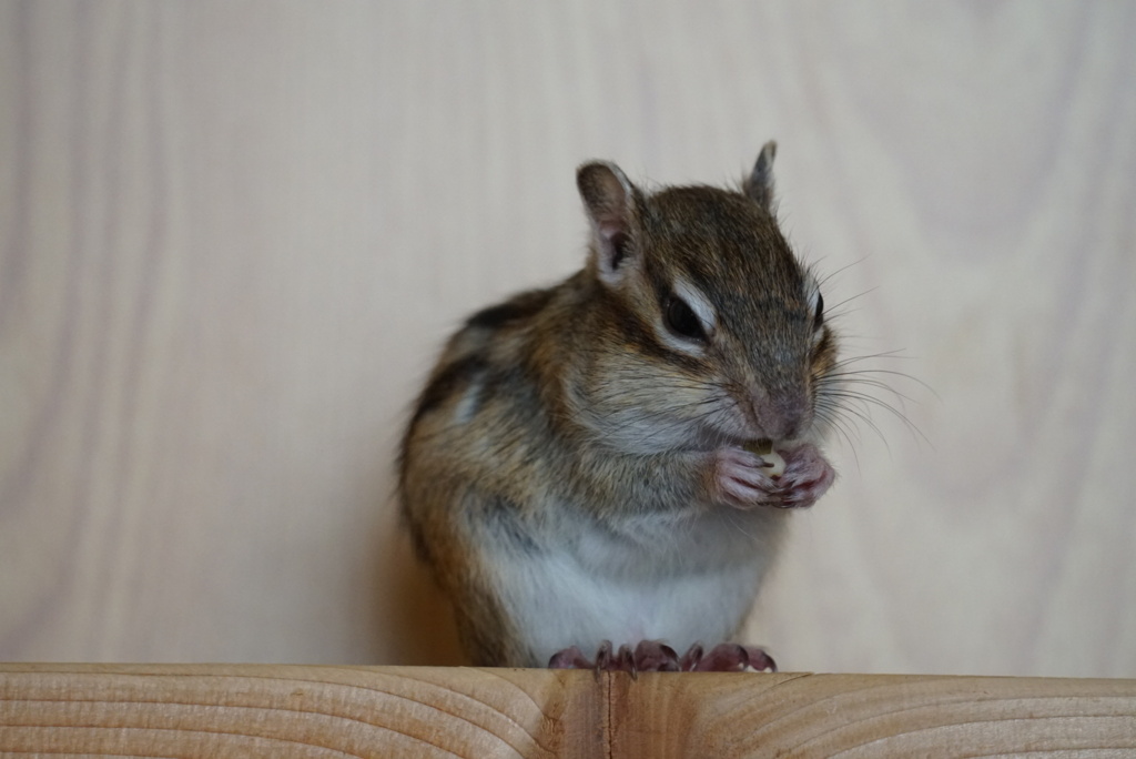 DSC00174