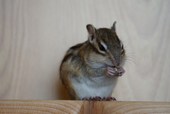 DSC00174