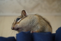 DSC01501