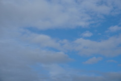 DSC02842