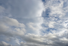 DSC01347