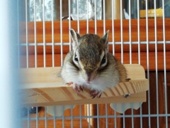 IMG_20220927_111226