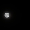 DSC08949