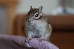 DSC00065