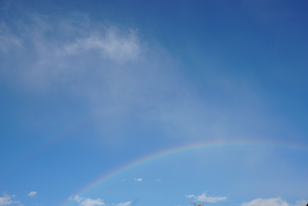 DSC06174_1