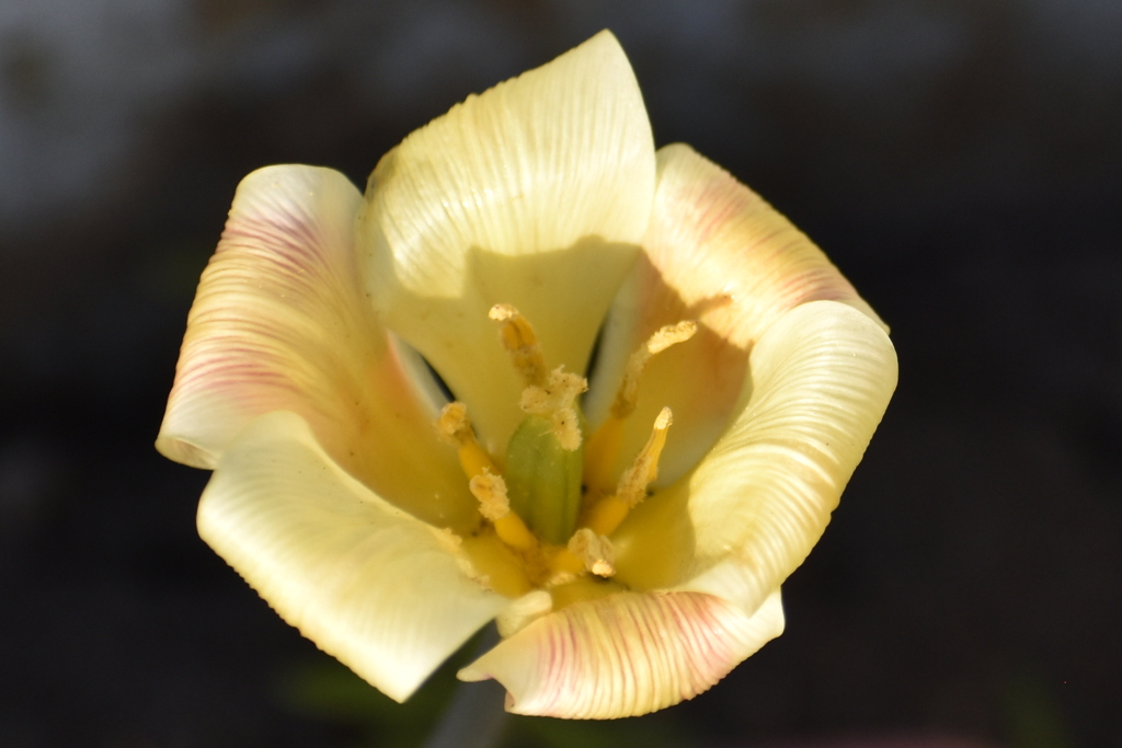 DSC_0306