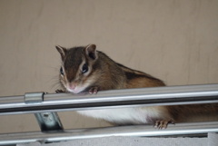 DSC09590