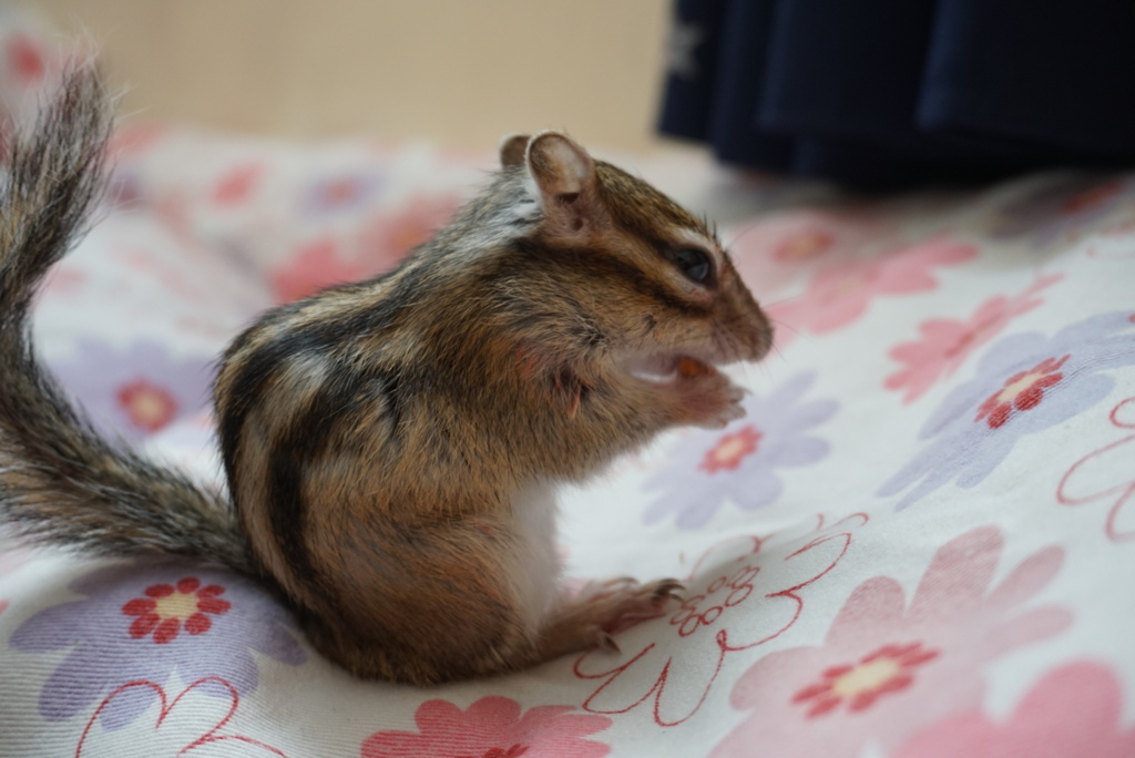 DSC00707