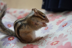 DSC00707