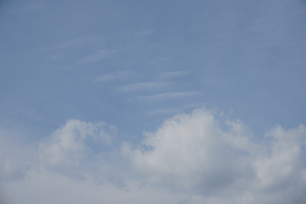 DSC05465_1
