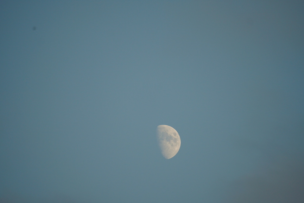 DSC03617_1