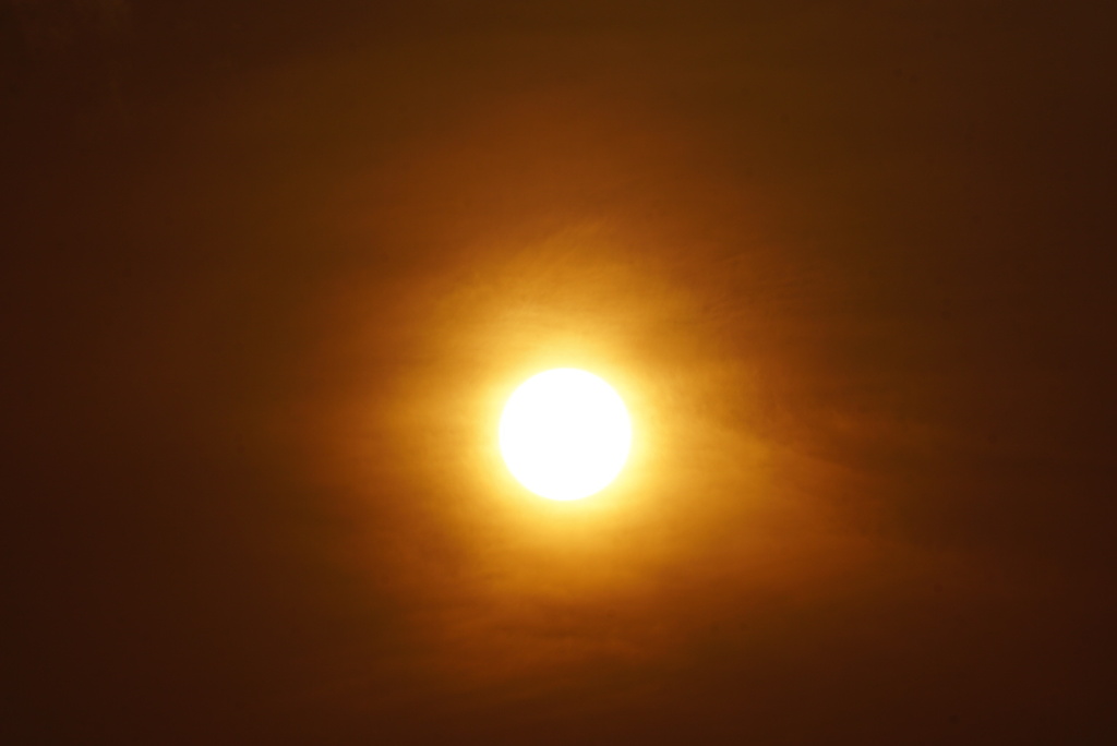 DSC03946