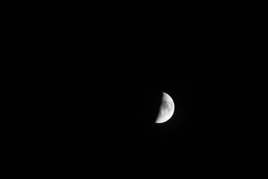 DSC03267_1