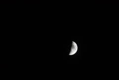 DSC03267_1