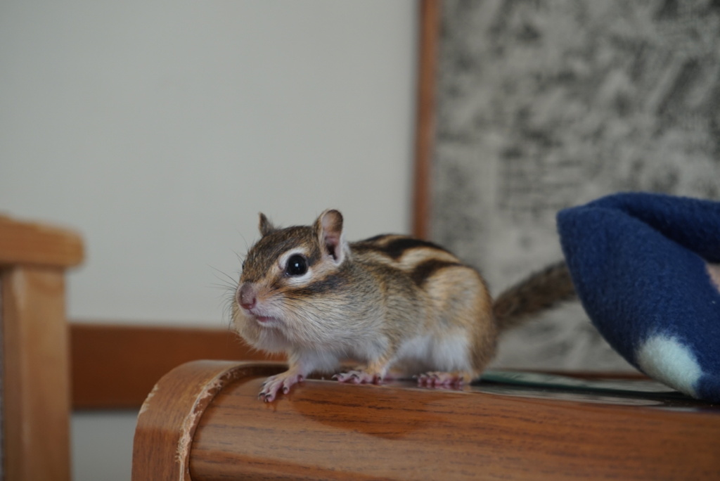DSC09906