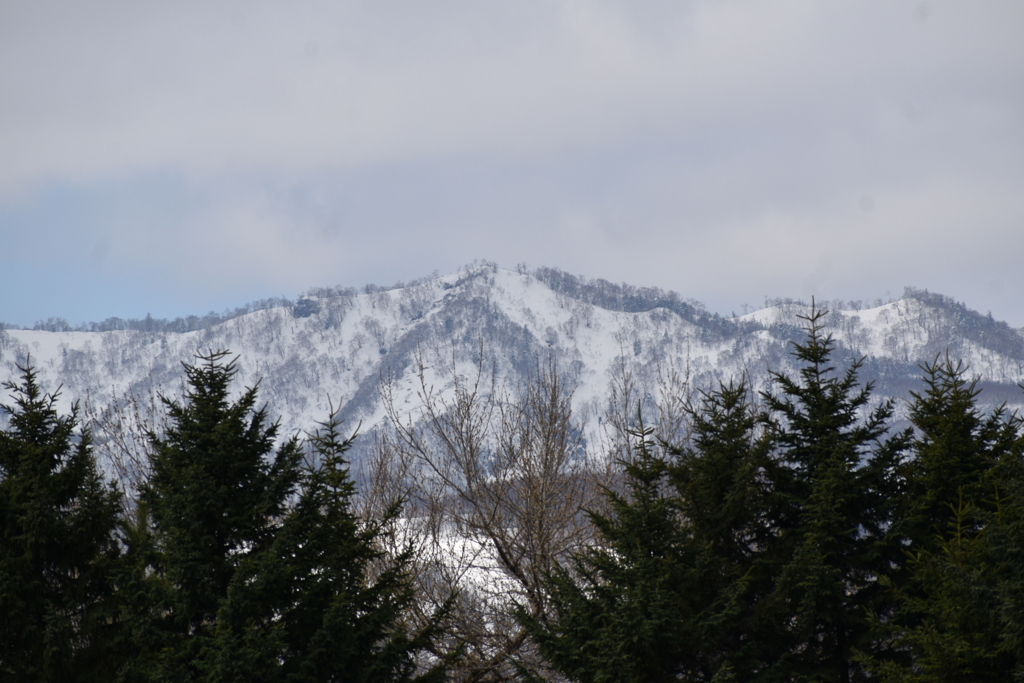 今日の手稲山