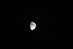 DSC08470