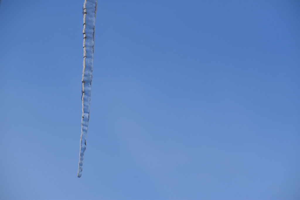 DSC_0875_2