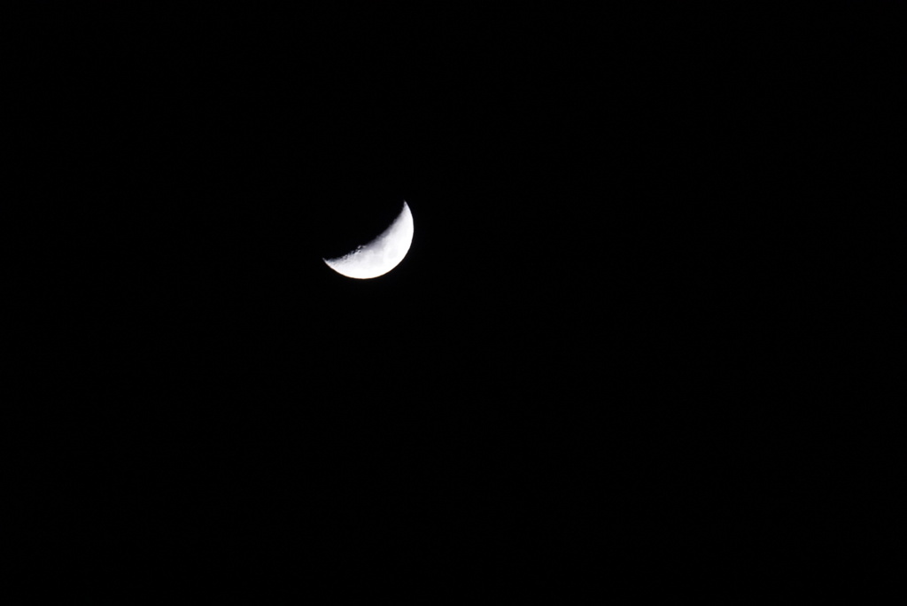 DSC02264