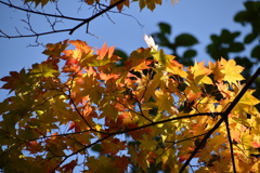 DSC_4043