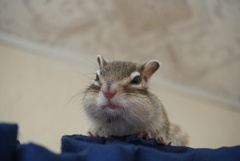 DSC01198