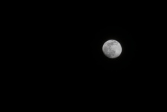 DSC06485