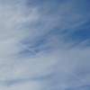 DSC00264_1
