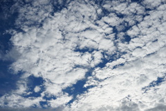 DSC04483_1
