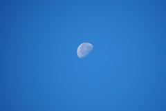 DSC06435