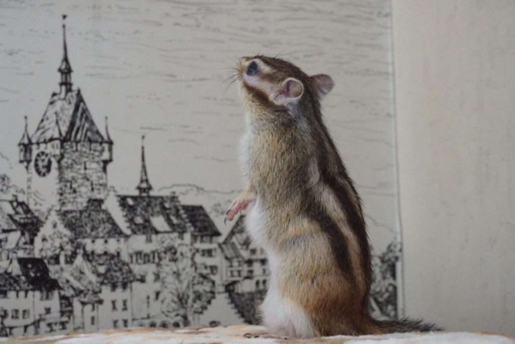 何が見えたのかな。