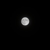 DSC08956