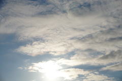 DSC03432