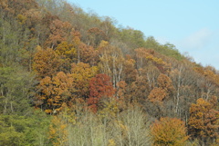 DSC09436