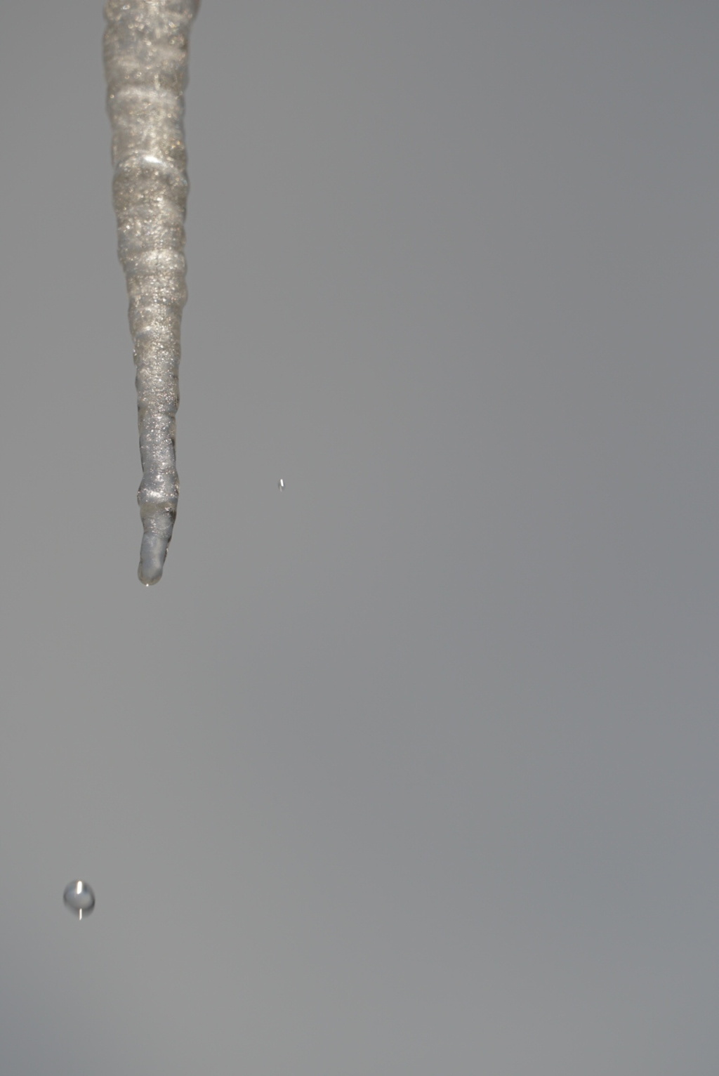DSC03389