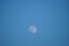 青空に浮かぶ月