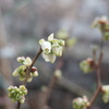DSC09393_1