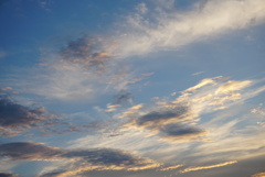 DSC03257