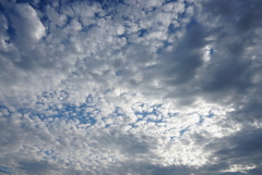 DSC06558