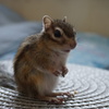 DSC05083_1