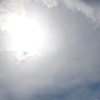 DSC06502_1