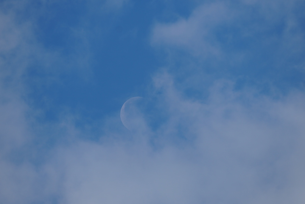 DSC01598_2