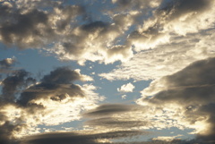 DSC04424_1