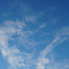 DSC05154