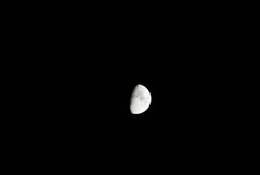 DSC03621_1
