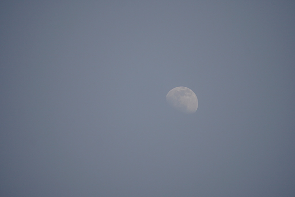 DSC08206_1