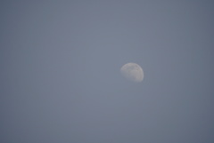 DSC08206_1